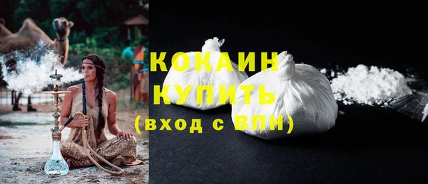 трава Осинники