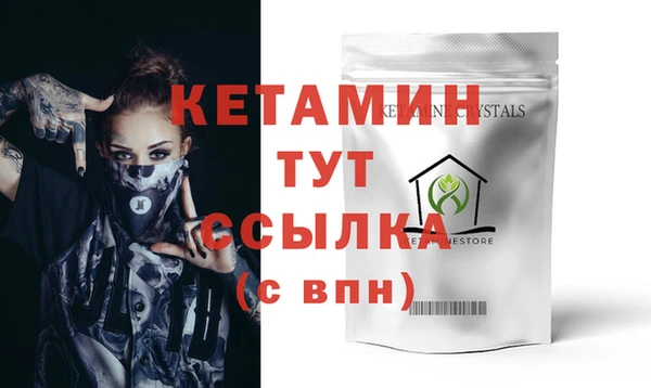 прущие грибы Дмитриев