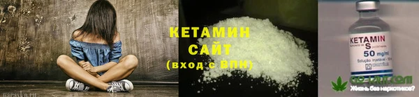 соль ск Дмитровск
