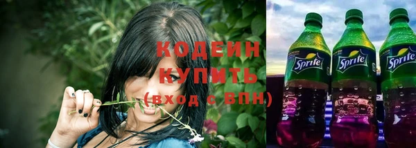 трава Осинники